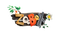 logo-client